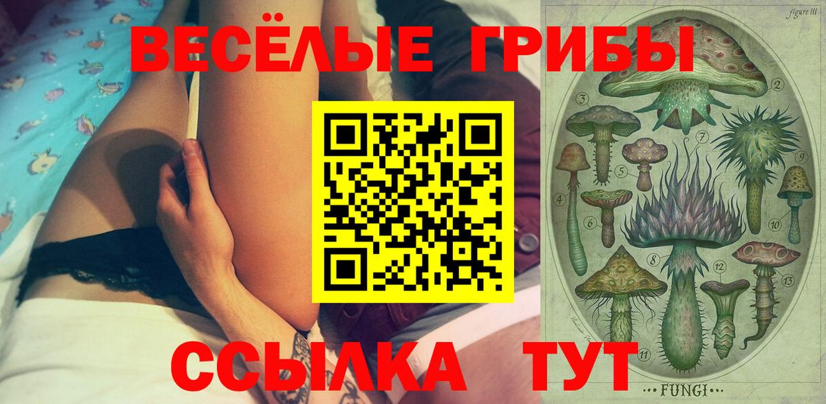 Псилоцибиновые грибы прущие грибы Вольск